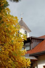 jesen pred karmeličanskim samostanom v Sori